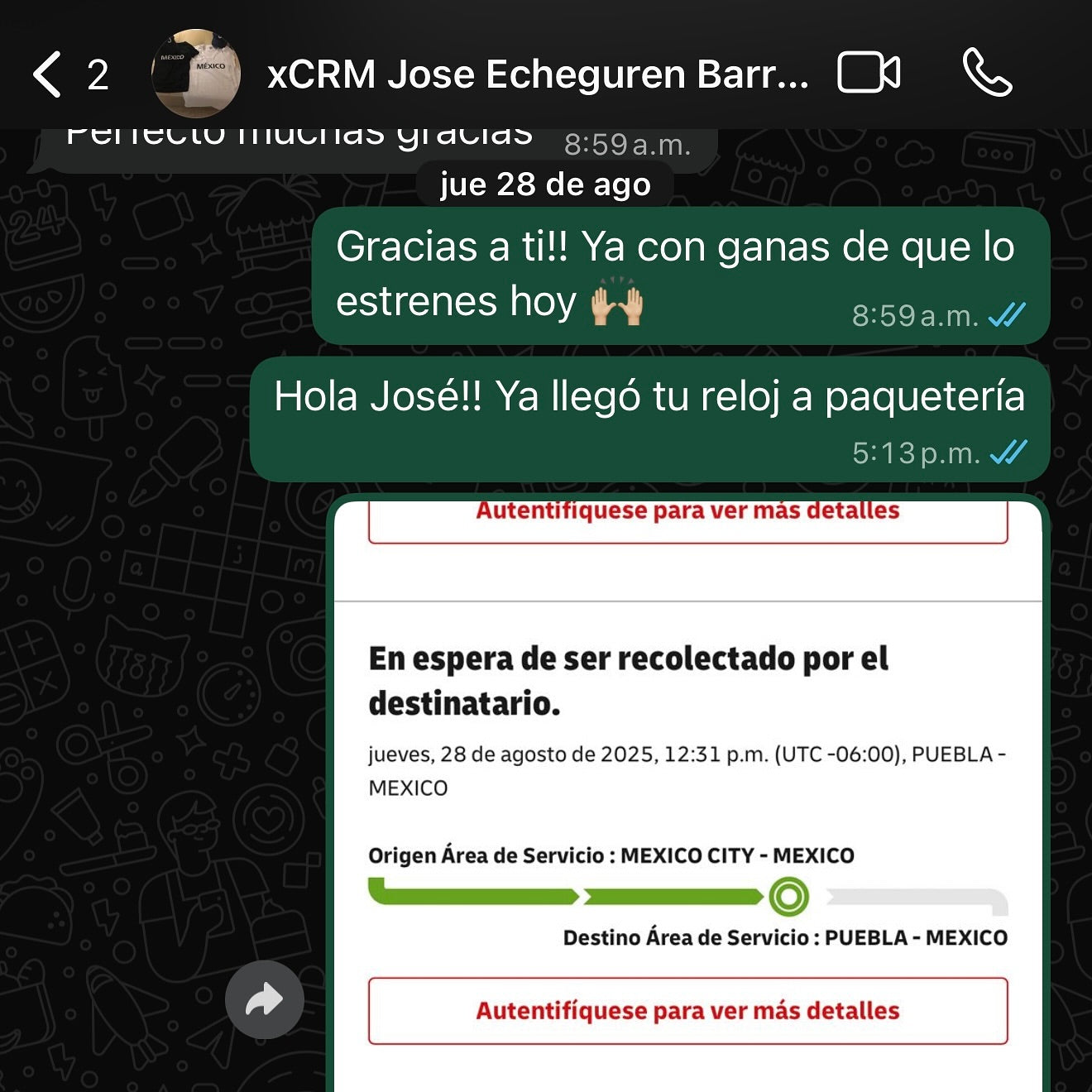 José Echeguren | Cartier Santos