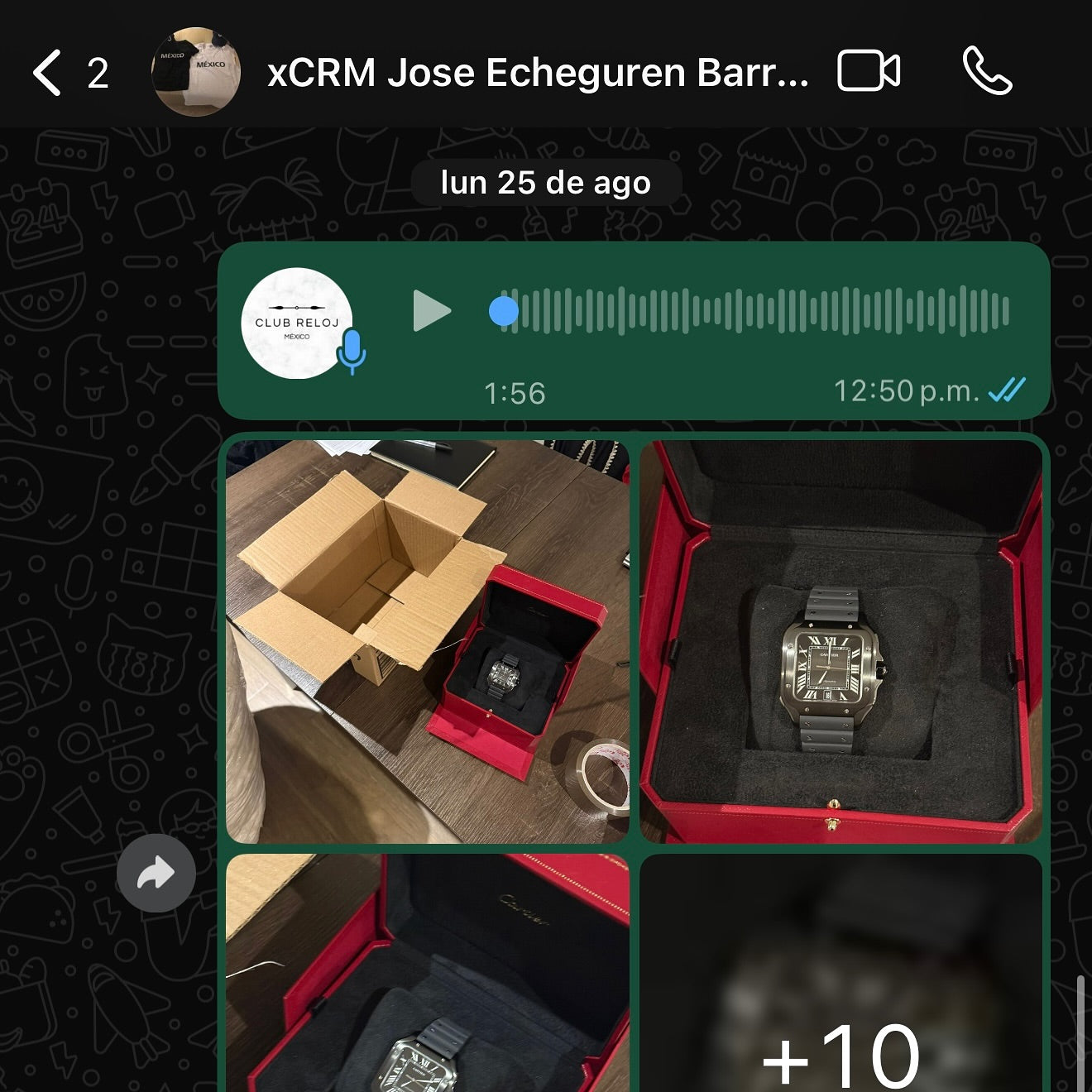 José Echeguren | Cartier Santos