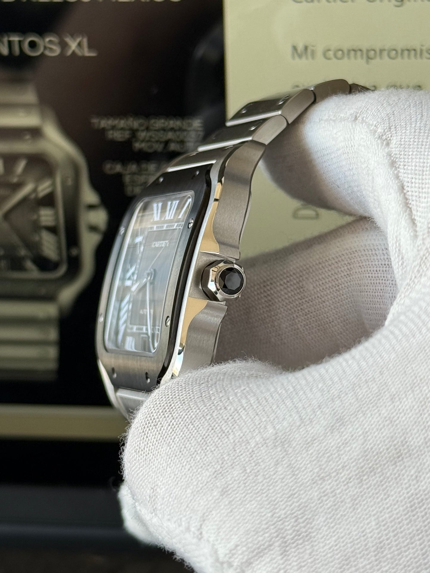 Patricio Saenz | Cartier Santos
