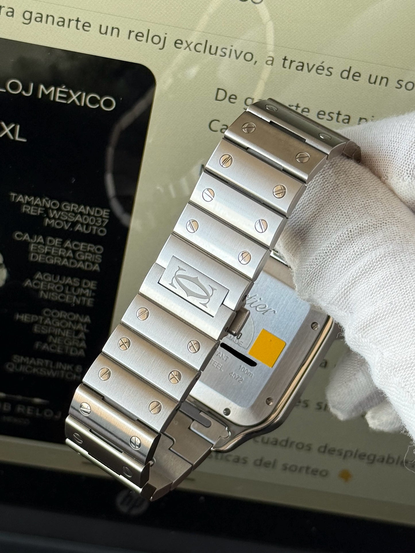 Patricio Saenz | Cartier Santos