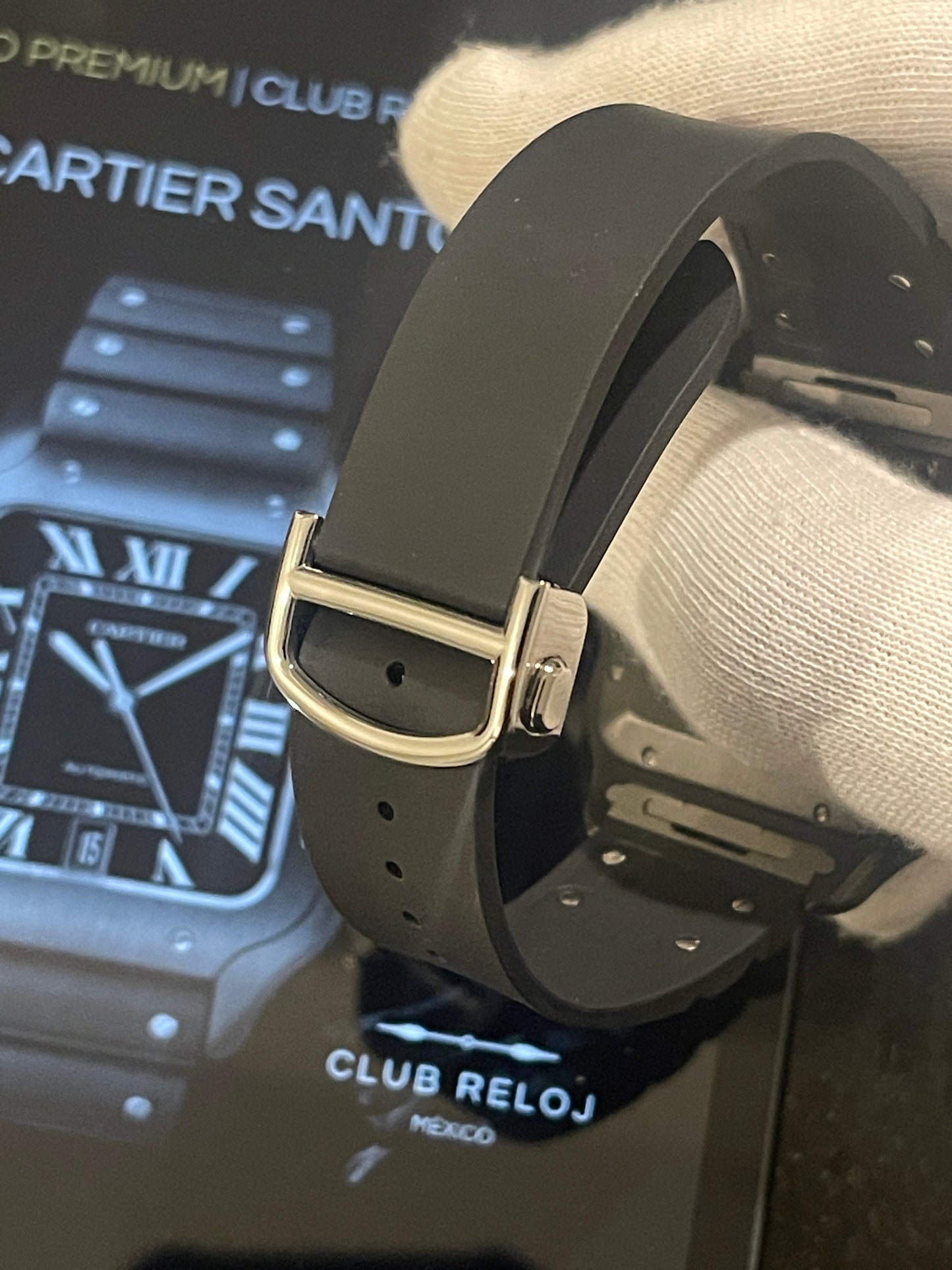 Alejandro Granado | Cartier Santos
