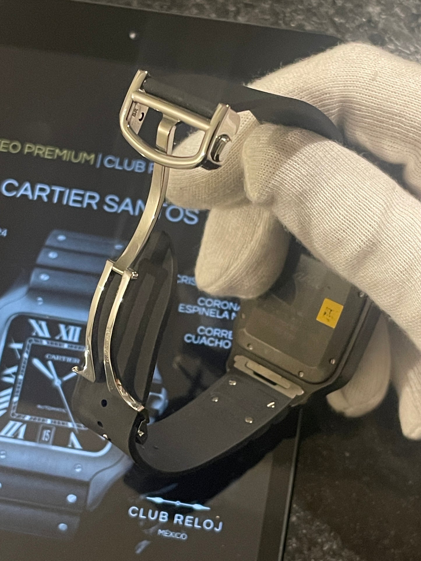 Alejandro Granado | Cartier Santos